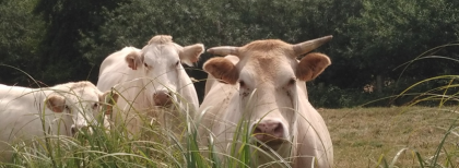 Un projet agricole en milieux humides